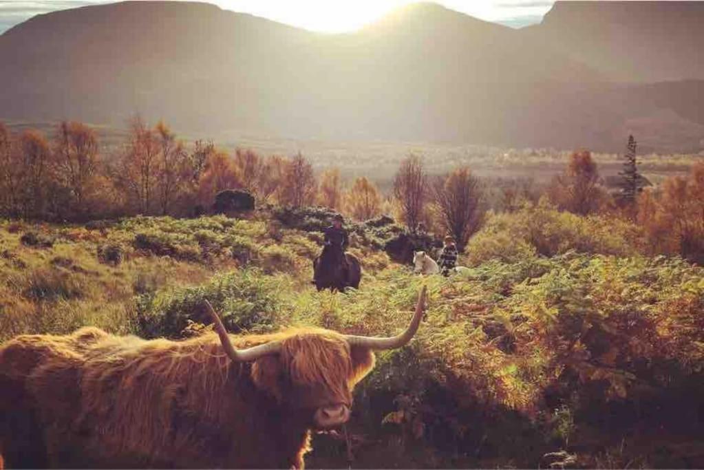 Wild Nurture Eco Luxury Offgrid Log Cabin Форт-Уильям Экстерьер фото