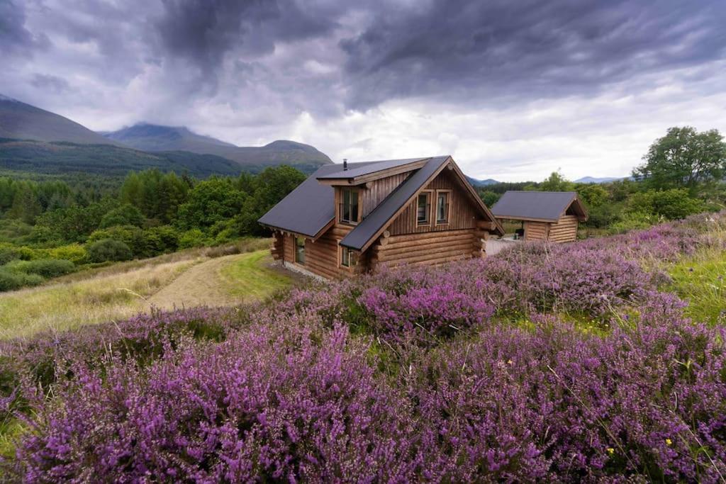 Wild Nurture Eco Luxury Offgrid Log Cabin Форт-Уильям Экстерьер фото
