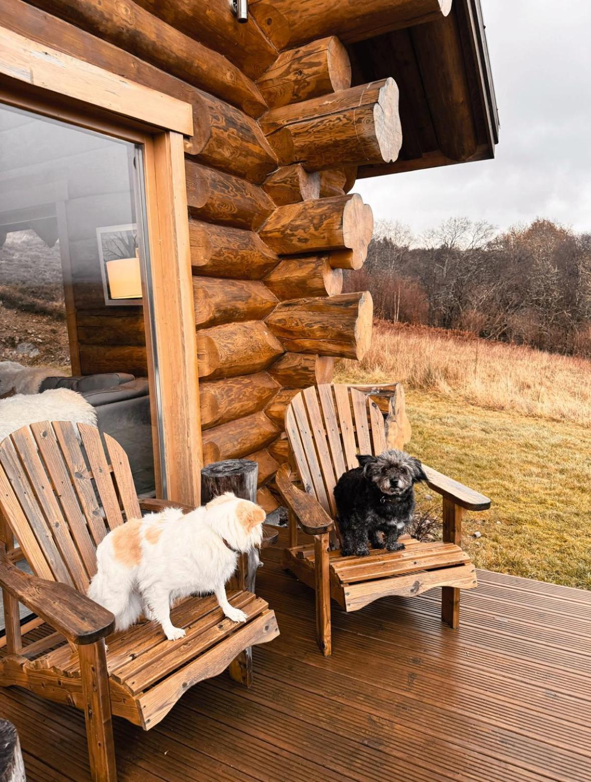 Wild Nurture Eco Luxury Offgrid Log Cabin Форт-Уильям Экстерьер фото